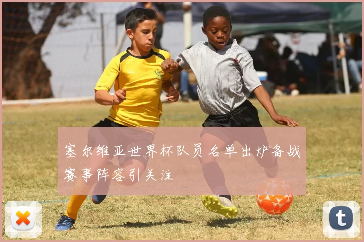 塞尔维亚世界杯队员名单出炉备战赛事阵容引关注
