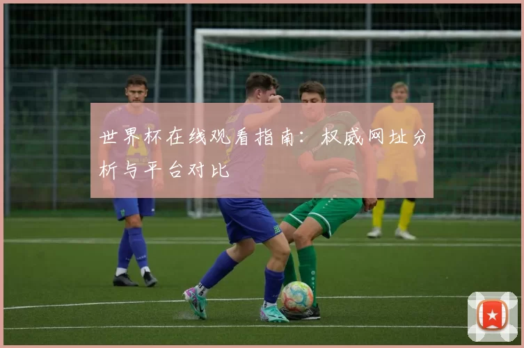 世界杯在线观看指南：权威网址分析与平台对比