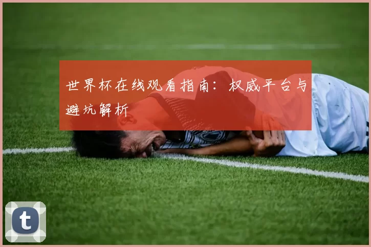 世界杯在线观看指南:权威平台与避坑解析