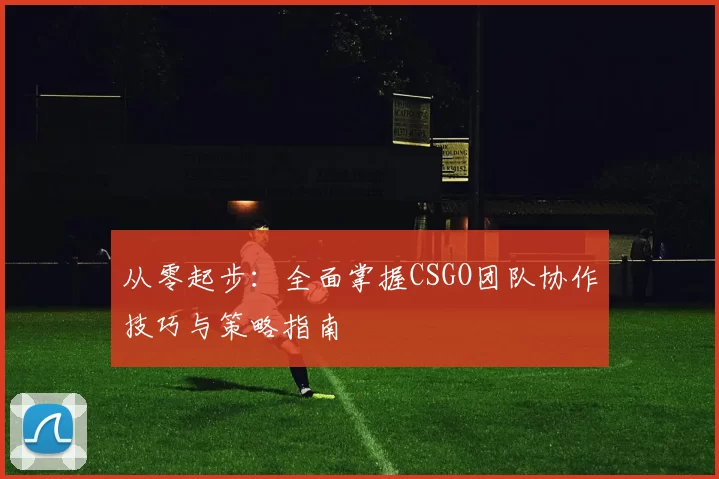 从零起步：全面掌握CSGO团队协作技巧与策略指南