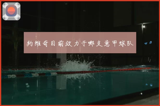 约维奇目前效力于哪支意甲球队