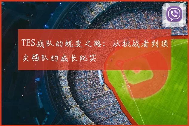 TES战队的蜕变之路:从挑战者到顶尖强队的成长纪实
