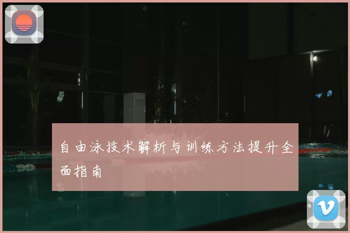 自由泳技术解析与训练方法提升全面指南
