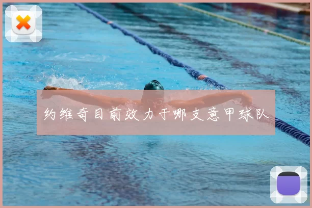 约维奇目前效力于哪支意甲球队
