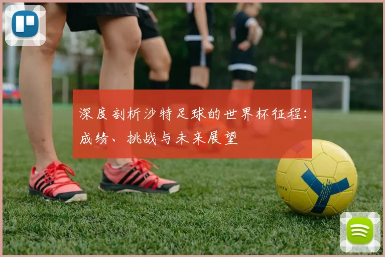 深度剖析沙特足球的世界杯征程：成绩、挑战与未来展望