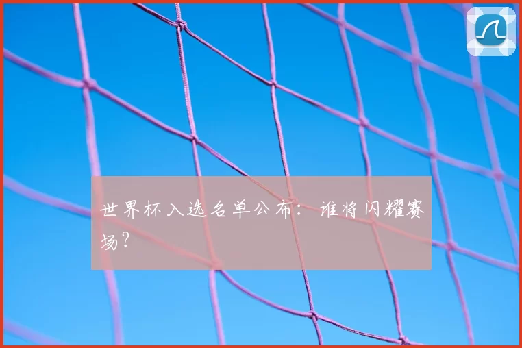 世界杯入选名单公布：谁将闪耀赛场？