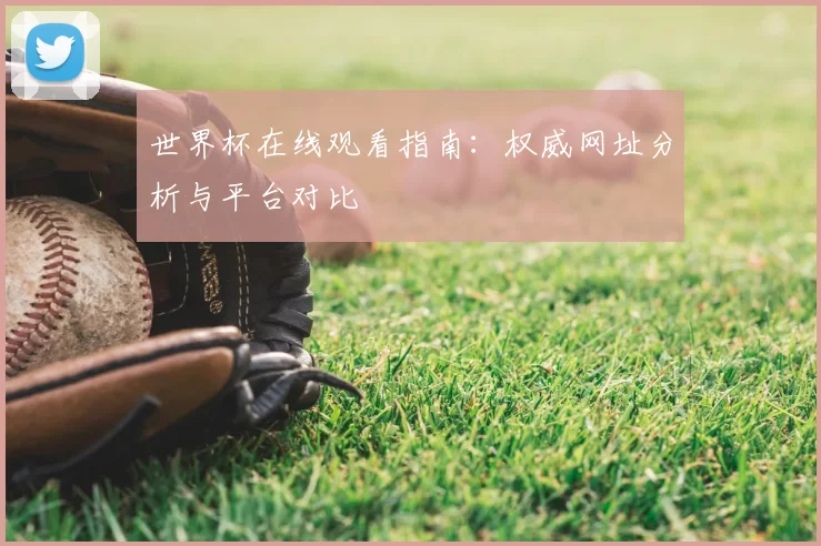 世界杯在线观看指南：权威网址分析与平台对比