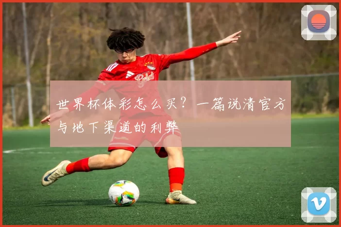 世界杯体彩怎么买？一篇说清官方与地下渠道的利弊