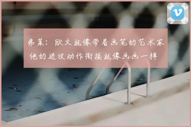 弗莱：欧文就像带着画笔的艺术家 他的进攻动作衔接就像画画一样