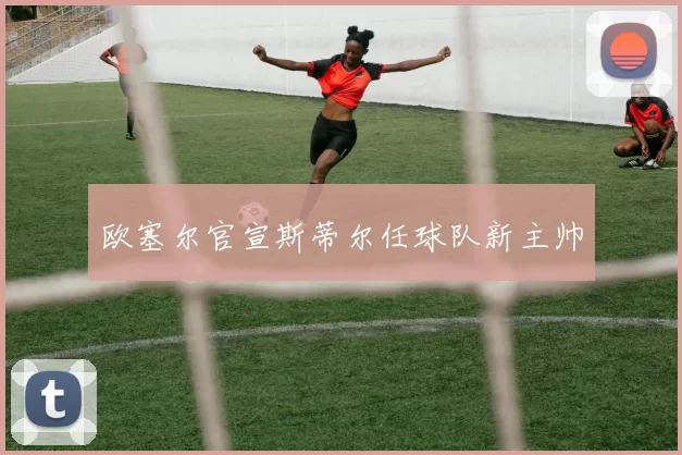 欧塞尔官宣斯蒂尔任球队新主帅