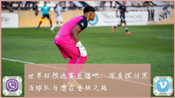 世界杯预选赛直播吧：深度探讨黑马球队与潜在晋级之路