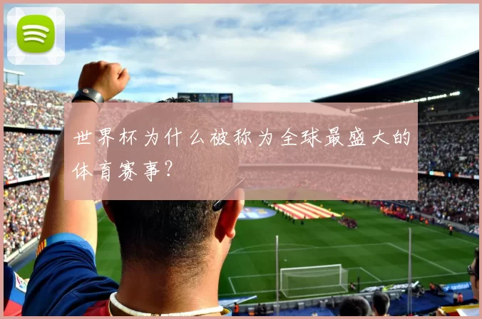 世界杯为什么被称为全球最盛大的体育赛事?