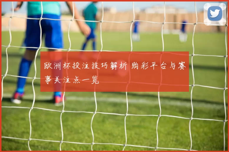 欧洲杯投注技巧解析 购彩平台与赛事关注点一览