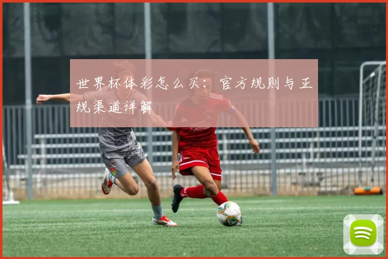 世界杯体彩怎么买：官方规则与正规渠道详解
