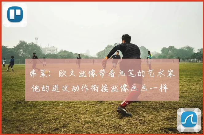 弗莱：欧文就像带着画笔的艺术家 他的进攻动作衔接就像画画一样