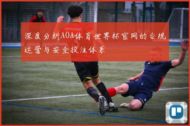深度分析AOA体育世界杯官网的合规运营与安全投注体系