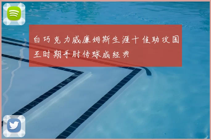 白巧克力威廉姆斯生涯十佳助攻国王时期手肘传球成经典
