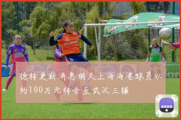 德转更新消息明天上海海港球员以约100万元转会至武汉三镇
