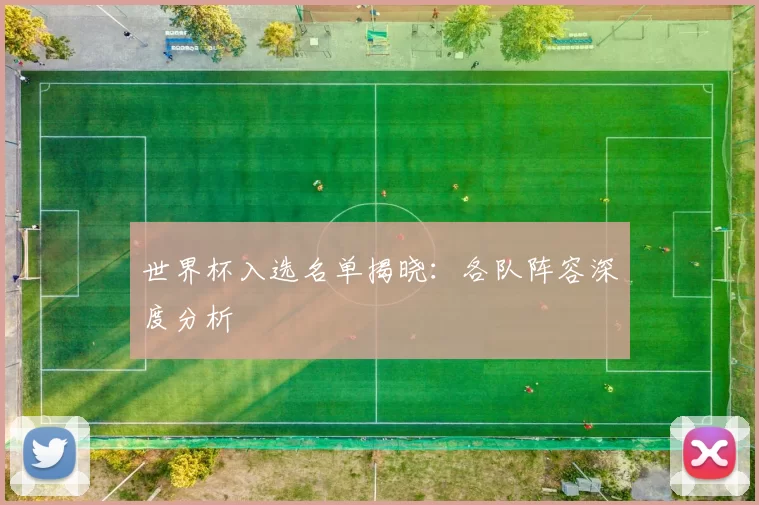 世界杯入选名单揭晓：各队阵容深度分析